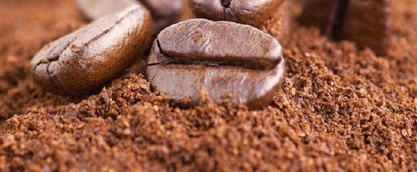 Pride Of South India – The South Indian Filter Coffee AKA Filter Kappi